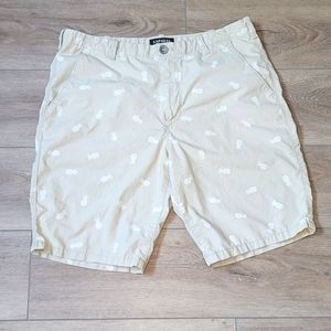 Men's Express Khaki Shorts With Pineapple Print Size 34